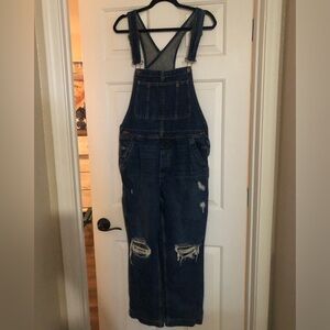 free People We The Free Distressed Denim Overalls, Size 29
